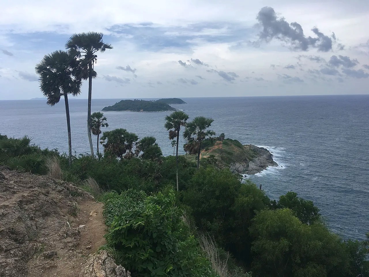 Palm trees and Andaman Sea view from Promthep Cape